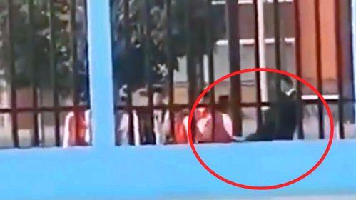 南华学校爆料视频最新 第1张 南华学校爆料视频最新 第1张