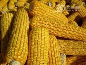 蛋花玉米爆料视频大全,视频大全揭秘幕后真相  第3张