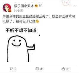 去年卓伟爆料视频大全最新,揭秘娱乐圈风云变幻 第2张 去年卓伟爆料视频大全最新,揭秘娱乐圈风云变幻 第2张